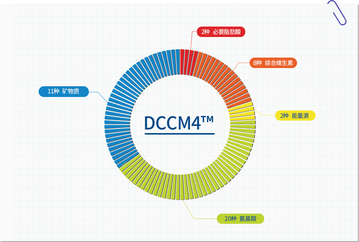 DCCM4™의 구성성분 차트 이미지